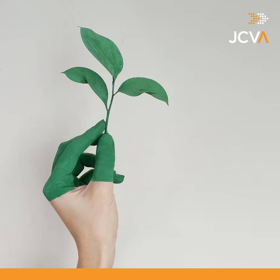 3 Greenwashing Tricks To Be Wary Of
