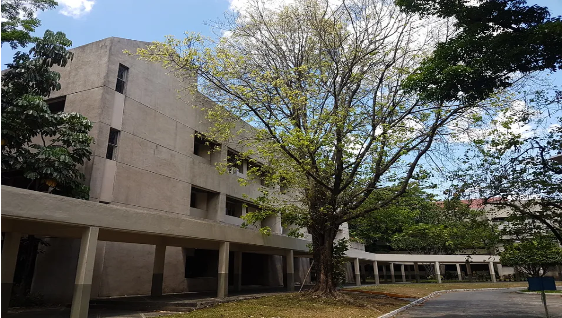 UP School of Economics Redevelopment